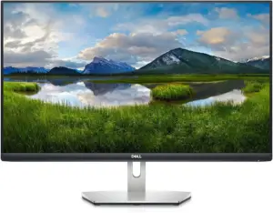 Dell S2421HN Review | Packed With Downsides